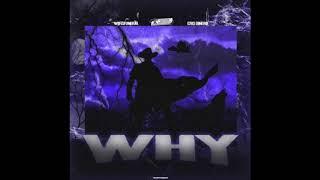 Cris Dinero x Wifisfuneral - Why (Prod. Stoopidxool)