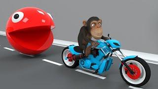 Monkey on a motorcycle is playing hide and seek