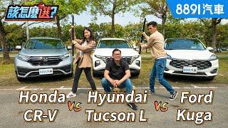 鐵桿三兄弟同場廝殺！Kuga vs. CR-V vs. Tucson L誰是國產SUV首選！｜8891汽車