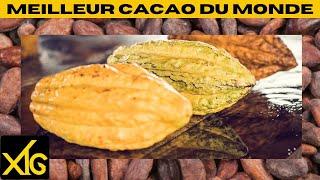 650 Quito capital of Ecuador / the best cocoa in the world #cocoa #chocolates