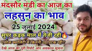 25 जुलाई 2024 मंदसौर मंडी का लहसुन का भाव | Aaj Ka Lahsun Ka Bhav | Lahsun Bhav Mandsaur Mandi