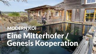 Toms Giga Koi-und Schwimmteichprojekt Teil 1| Modern Koi Blog #6777