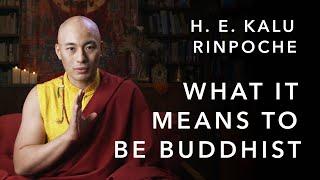 What it means to be Buddhist | H. E. Kalu Rinpoche | The Illusory Body and Mind | The Wisdom Academy