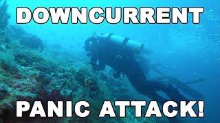 We Got Caught in a Downcurrent - PANIC (Sipadan, Island) | Diving Malaysia | MayenTV