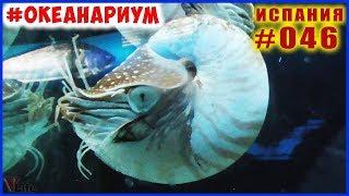 Океанариум #Барселона  Часть 1. Испания влог #046 