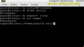 How to export environment variable in Linux