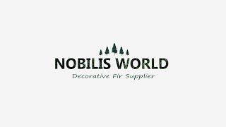 Nobilis World - Decorative Fyr Supplier