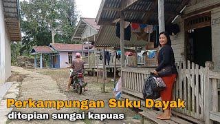 Susana Perkampungan Suku Dayak di pantaran sungai Kapuas||Kalimantan