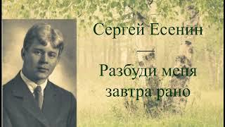 #стихи С.А.Есенин - Разбуди меня завтра рано...