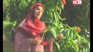 Bangla Islamic Song 05 Mago Maa Tumi Kedona Hasnahena Afrin