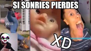 Los Mejores VIDEOS RANDOM, (RECOPILACIÓN) Si Te Ries Pierdes, Gracias Por El 1M 