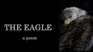 The Eagle by Alfred, Lord Tennyson (Poem)