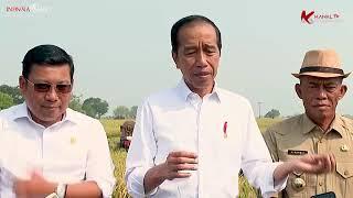 Presiden Jokowi Panen Raya Padi di Subang | Kanal Indonesia Tv