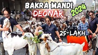 Deonar Bakra Mandi 2024 | Biggest Bakra Mandi in India | Complete Tour | Deonar Latest Update | Vlog