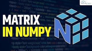 The Concept of Matrix Numpy Arrays in Python | Numpy Tutorial