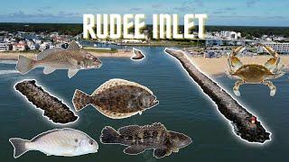 Fishing Rudee Inlet | Virginia Beach VA (Flounder, Croaker, Spot, Crab, Seabass)