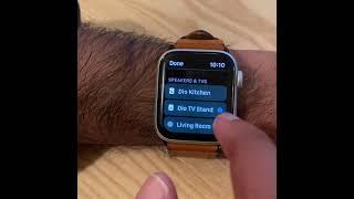 Using Apple Watch to control Dio Node speakers