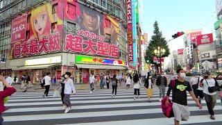 Walk in Shinjuku, Tokyo, Japan @8K 360° VR / Sep 2020