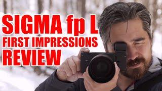 Sigma fp L First Impressions Review