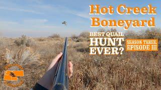 Best Quail hunt ever? - Hot Creek Boneyard - A Banner Quail Hunt