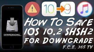 iOS 10.2 - How to Save SHSH2 Blobs Properly For Future Downgrades