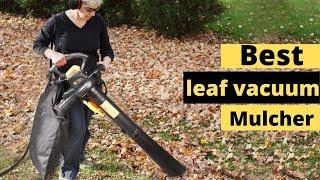 Top 5 Best Leaf Vacuum Mulchers Reviews 2023