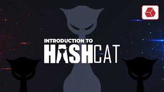 Introduction to Hashcat