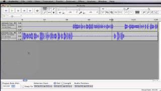 How to Edit and Mute Audio In Audacity