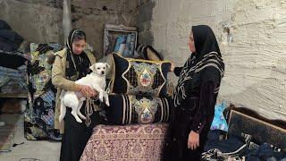 Little dog: Zainab's faithful companion