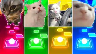 Chipi Chipi Chapa Chapa Cat vs Coffin Dance Cat vs Driving Cat vs Vibing Cat - Tiles Hop EDM Rush