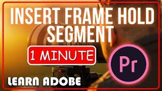 Premiere Pro: How to Insert Frame Hold Segment on just One Clip Track