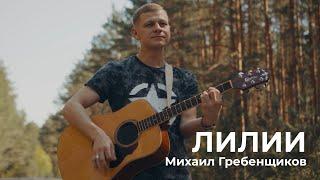 Михаил Гребенщиков - Лилии [Кавер на гитаре. Акустика] 19.05.2024