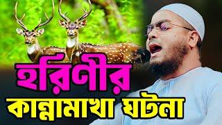 চট্টগ্রাম কর্ণফুলীতে হরিনীর ঘটনা | মাওলানা হাফিজুর রহমান সিদ্দিকী | hafizur rahman siddiki waz 2024