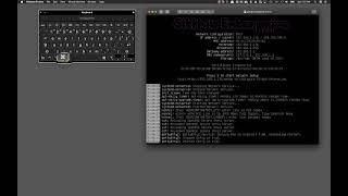 Access linux virtual console windows in vmware fusion