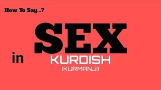 How To Say Sex In Kurdish, Sex In 100 Languages Series