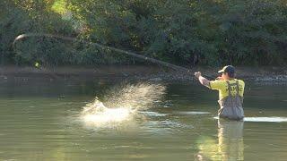 Pecanje na plovak - reka Drina - skobalj i mrena | Fishing on float