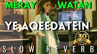 Meray Watan Ye Aqeedatien | Slowed and Reverb | Hammad Ali Shah | Official PAF Song