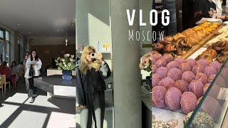 vlog  / учеба в Вышке, майнор Бизнес-информатика, пекарня Zoe, форум МГИМО