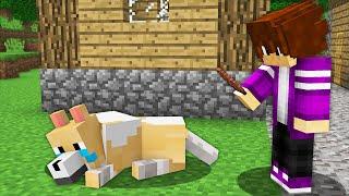 Я НАШЁЛ БЕЗДОМНУЮ СОБАКУ В МАЙНКРАФТ 100% троллинг ловушка minecraft