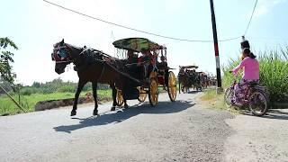 BEGINILAH Parade Kereta Kuda di Kampung - Andong Bantul Yogyakarta