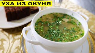 Уха из окуня. На утро застывает как холодец.