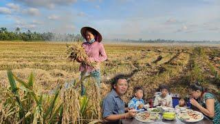 Cá Rô Phi Nấu Canh Chua Cơm Mẻ Chuối Cây Ăn Ngon Hết Sảy Bữa Cơm Dân Dã Của Gia Đình|NMT