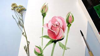 Как нарисовать розовую Розу. Акварель для начинающих. How to draw a rose