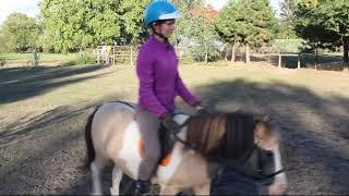 Nauka cofania i zwrotów na przodzie w siodle