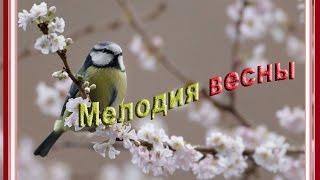 Мелодия весны