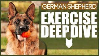 HOW MUCH EXERCISE DOES A GERMAN SHEPHERD NEED?