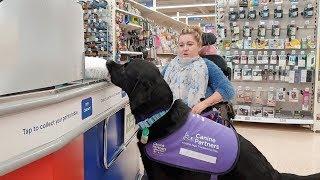 Assistance Dog Transforms Disabled Owner's Life