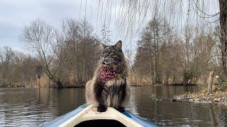 Captain Louis: Spreading Christmas Cheer One Paddle at a Time 