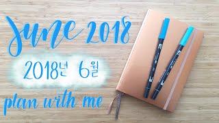 Plan With Me | June 2018