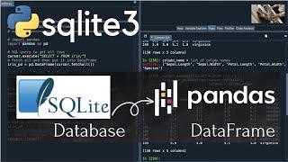 #Python | sqlite3 module: SQLite db → Pandas DataFrame | #sqlite3 #pandas